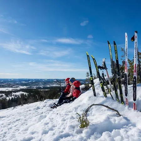 Villa Sole, Trysil-3